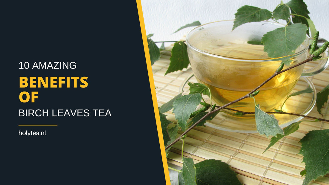 10 Amazing benefits of Birch Leaves Tea