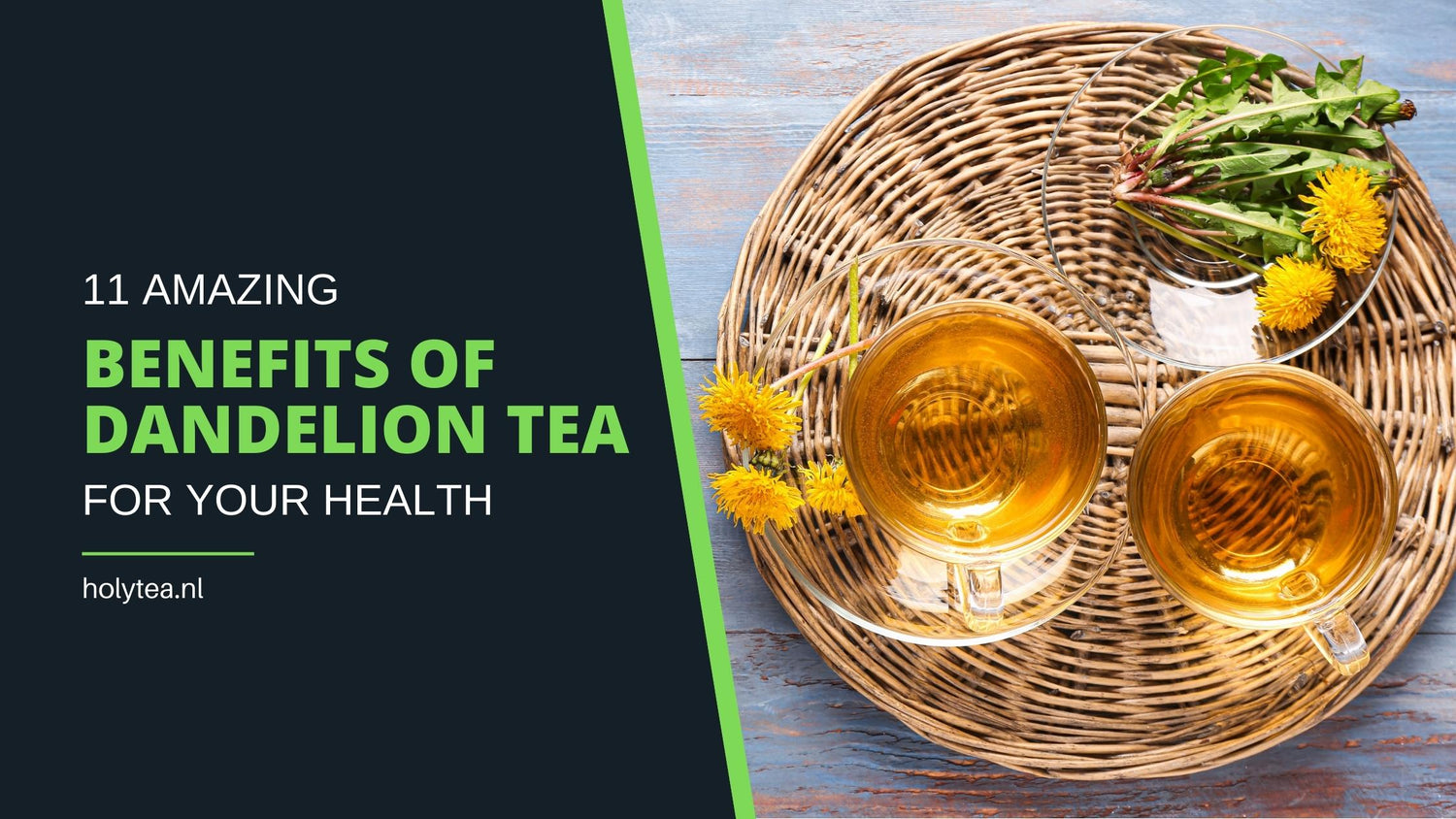 11 amazing benefits of dandelion tea for your health Holy Tea