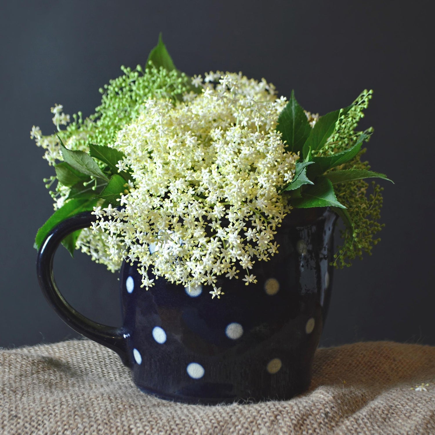 Exclusive-Loose-leaf-Tea-Blends-With-Elderflowers-holy-tea-amsterdam