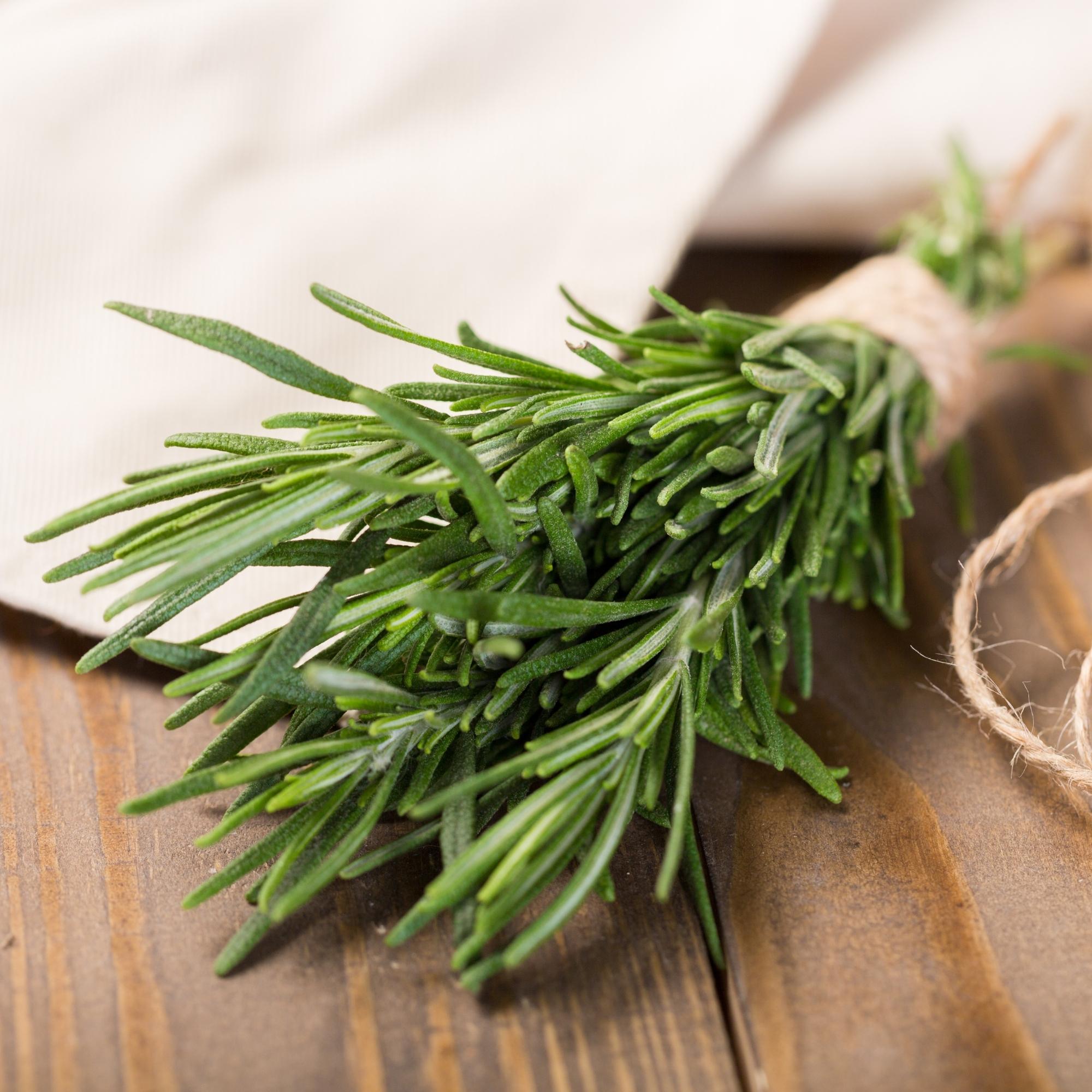 Loose-leaf tea blends with rosemary