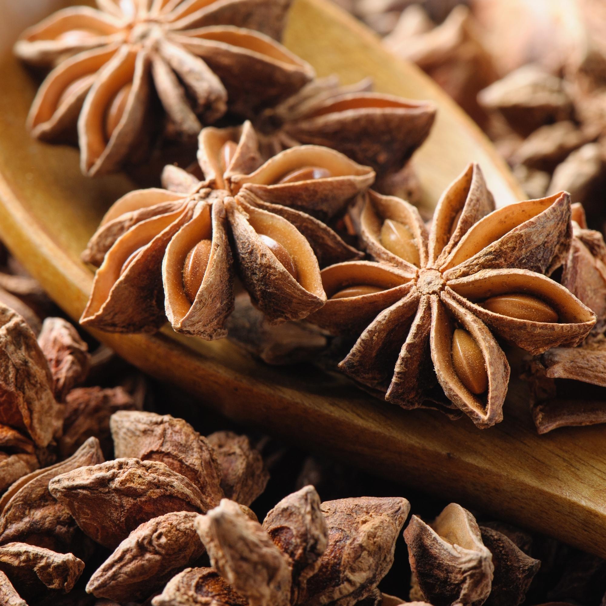 Exclusive-Loose-leaf-Tea-Blends-With-Star-Anise-holy-tea-amsterdam